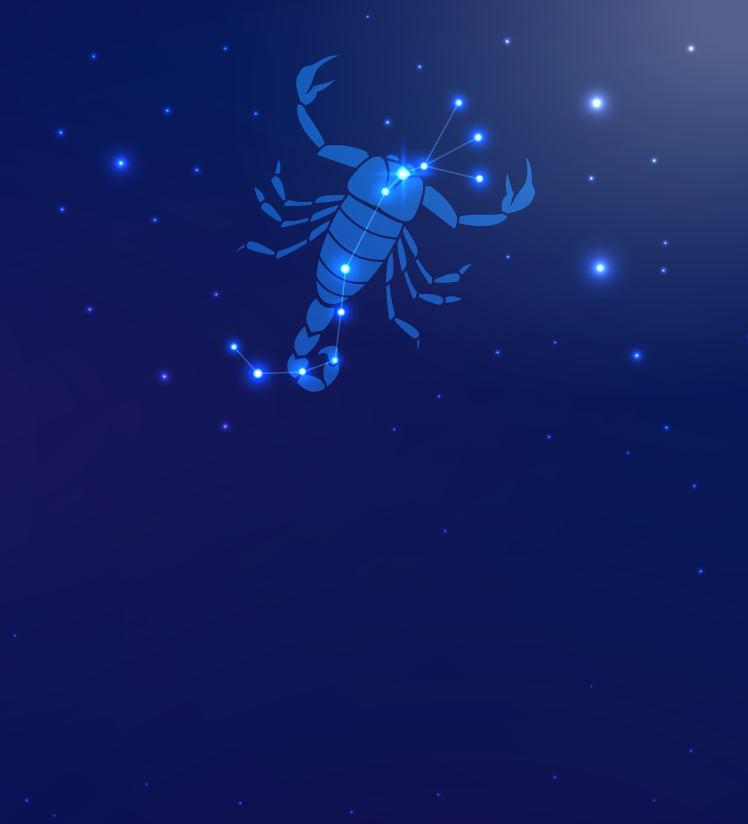 Représentation du signe Scorpion - Horoscope du jour